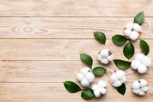 Autumn Floral Flat lay background composition. Dried white fluffy cotton flower branchwith green leaf top view on colored table with copy space photo