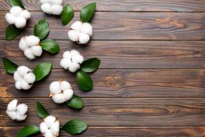 Autumn Floral Flat lay background composition. Dried white fluffy cotton flower branchwith green leaf top view on colored table with copy space photo