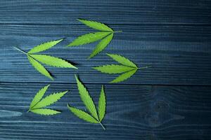 Green leaves of hemp on a dark blue wooden background. photo