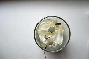 A glass with white petals and branch of eucalyptus. photo