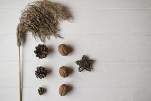 Pine cones and walnuts on a white table. photo