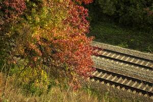 ferrocarril y hermosa otoño árbol. otoño paisaje. foto