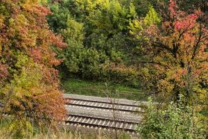 Railroad and beautiful autumn tree. Autumn landscape. photo