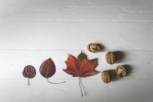Beautiful fallen leaves and walnuts on a white wooden table. photo