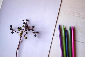 White paper, multi-color pencils and branch of wild grape. photo