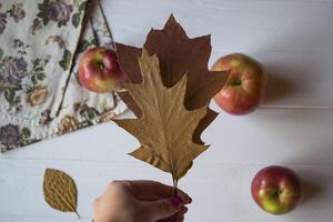 Autumn still life. Fall flat lay. photo