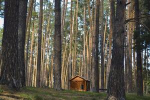 An old wooden pavilion in the forest. Peaceful place for relaxation. photo