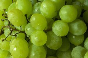 The grapes background. Ripe grapes. photo