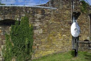 Old stone wall with green ivy. photo