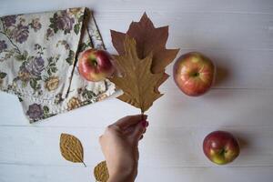 Autumn still life. Fall flat lay. photo