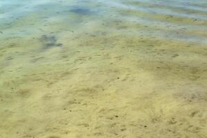 Blue water texture. Blue lagoon. Clear water. photo