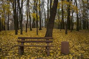 vacío banco en el otoño parque. foto