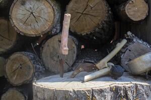 un instrumentos en contra un bosque antecedentes. foto