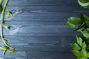 The frame from green leaves on a dark blue wooden background. photo