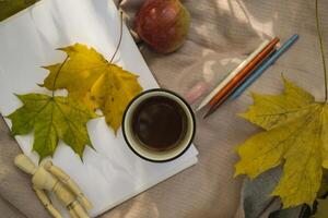 A cup of tea, fallen leaves, album and pencils for drawing on the warm plaid in the autumn park. photo