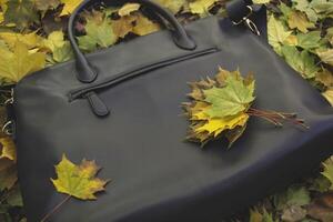 The fallen leaves of maple on the blue bag. Autumn background. photo