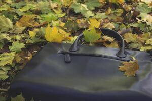 The fallen leaves of maple on the blue bag. Autumn background. photo