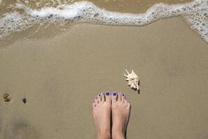 Female feet and seashell on the wet sand. photo