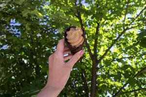 An ice cream cone in female arm against a green tree background photo