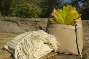 A bag with beautiful fallen leaves and knitted scarf. Autumn vibes. photo