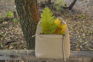 A bag with beautiful fallen leaves and knitted scarf. Autumn vibes. photo