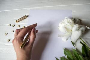 White paper, pen, peony and decor on the desk. Beautiful still life on the desktop. photo