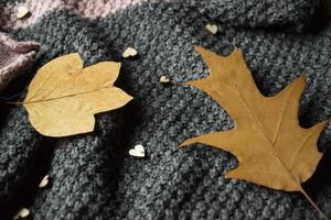 Women's sweater decorated with autumn leaves. Sweater texture. Cold season. photo