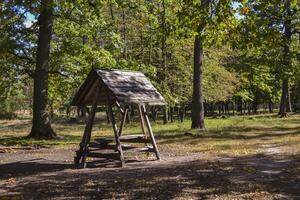 An old wooden pavilion in the forest. Peaceful place for relaxation. photo