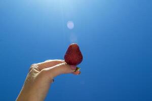 Ripe strawberry in woman's hand against a blue sky background. photo