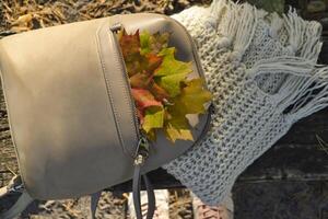 A bag with beautiful fallen leaves and knitted scarf. Autumn vibes. photo