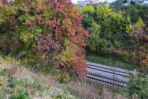 Railroad and beautiful autumn tree. Autumn landscape. photo