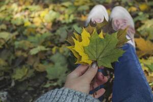 Woman holding the colorful autumn leaves. A bouquet of fallen leaves. Autumn vibes. photo