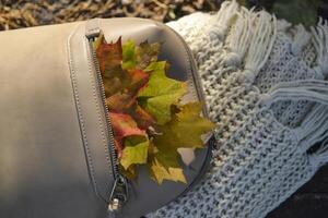 A bag with beautiful fallen leaves and knitted scarf. Autumn vibes. photo