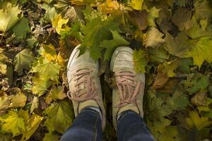 Woman walking in autumn park. Girl's feet in sneakers on the fallen leaves. photo