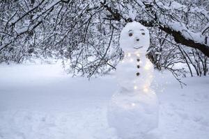 un linda monigote de nieve en el invierno parque. foto