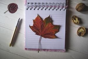 An opened notebook and pen on a desktop with decoration by fallen leaves. Atmospheric autumn background with copy space. photo