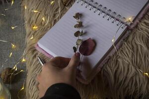 Opened notebook. And woman's hand holding dried branch of eucalyptus. photo