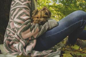 Woman with dog resting in the autumn park. photo