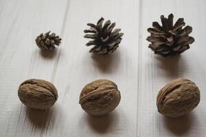 Pine cones and walnuts on a white table. photo