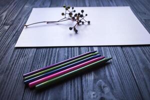 blanco papel, multicolor lapices y rama de salvaje uva. foto
