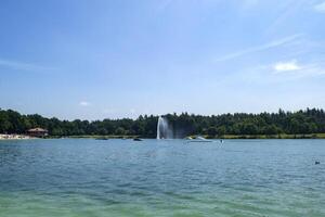 An azure water in forest lake. Summer landscape photo