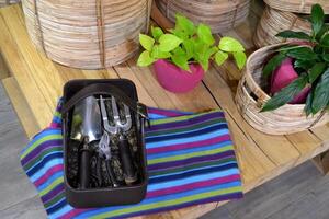 The gardening tools and flowers in the pots, on a wooden table. photo