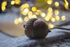 Cone and acorn as a decoration, close up against a bokeh background. photo