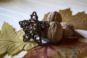 The walnuts and autumn leaves. Beautiful autumn background. Golden fall. photo