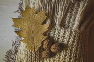 Warm scarves, yellow leaves and walnuts. Autumn background. photo