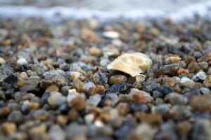 The small pebble macro shot. Small stones background. photo