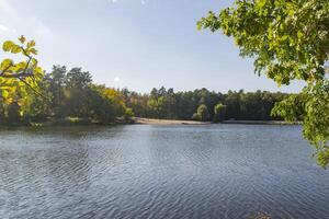 lago en el bosque. hermosa bosque paisaje. foto