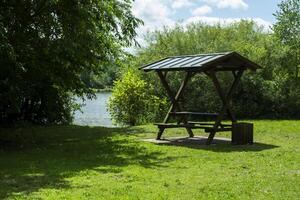 Summer arbor on the green meadow near lake. photo