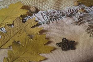 Warm scarves, yellow leaves and walnuts. Autumn background. photo