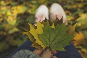 Woman holding the colorful autumn leaves. A bouquet of fallen leaves. Autumn vibes. photo